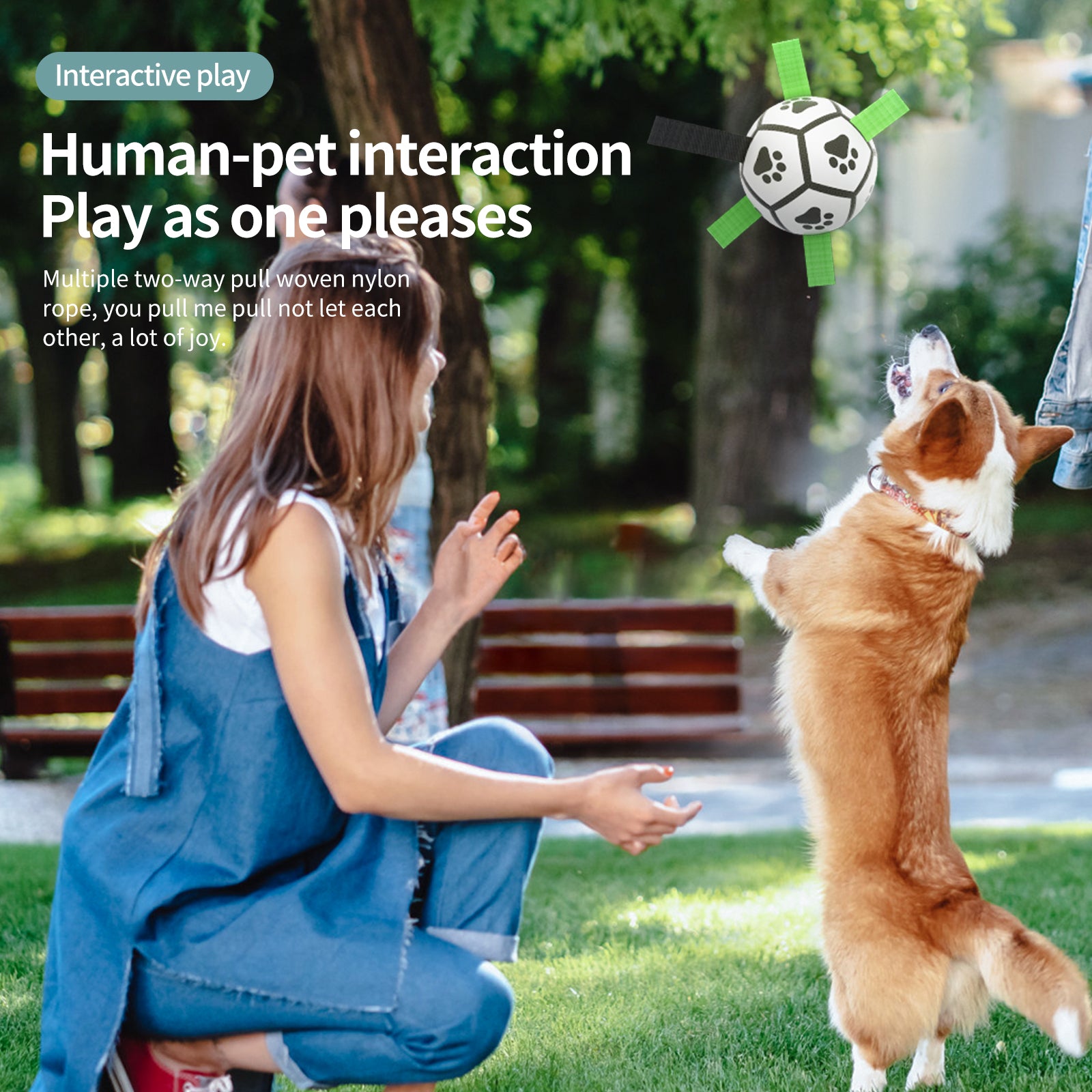 Hundeball: Interaktives Fußball-Spielzeug für große Hunde.