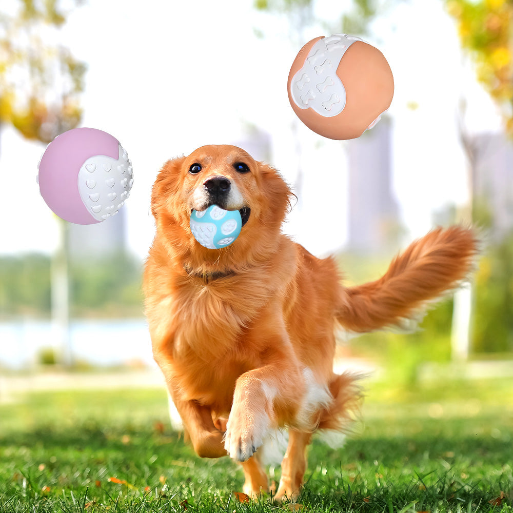 Zanivo Hundespielzeug-Bälle aus Gummi – 12 Stück, robust & zahnreinigend